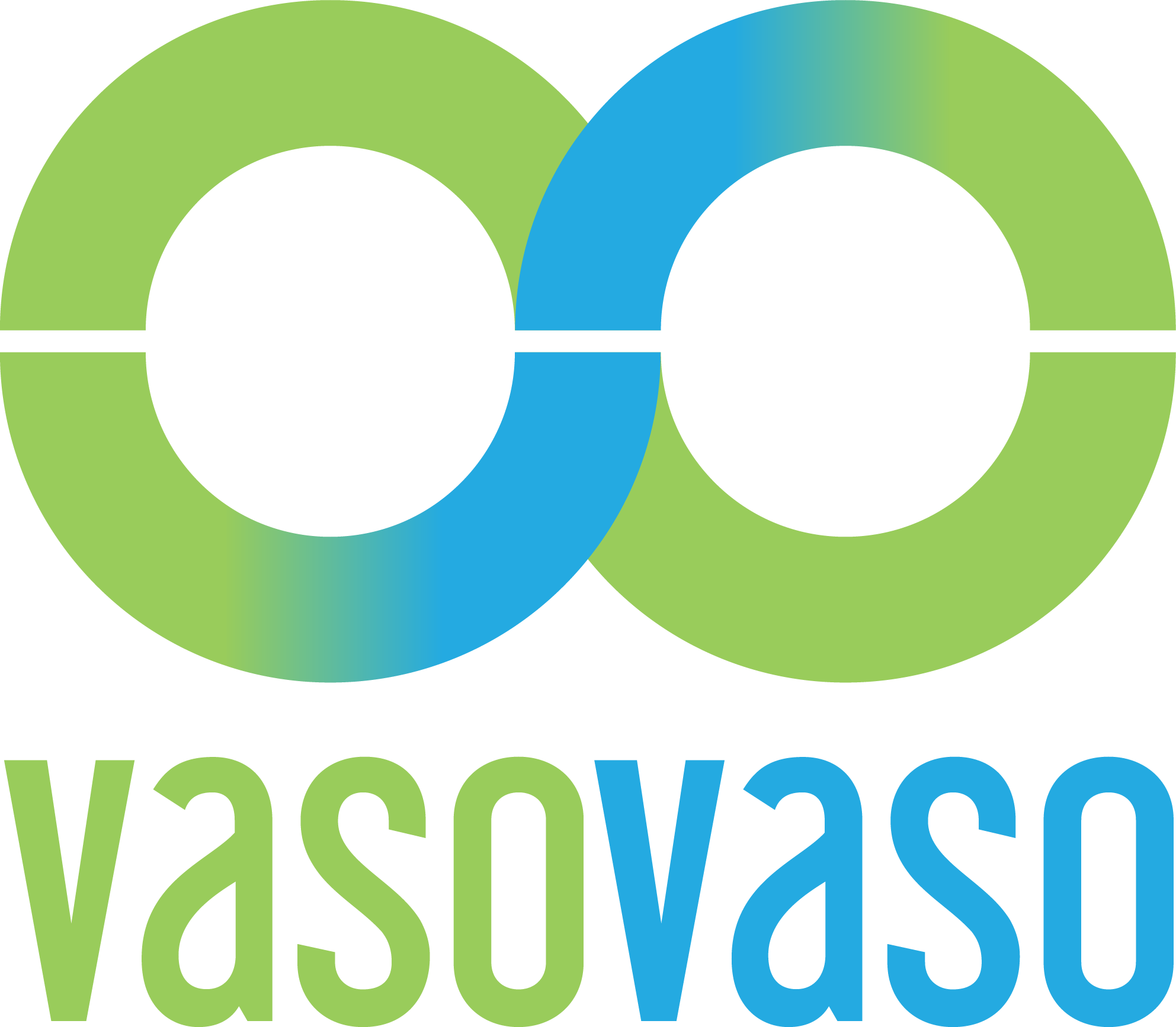 VASOVASO